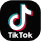 TikTok Icon