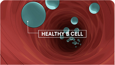 MCL Healthy B Cell